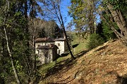 50 Dai Fenii proseguo sul 597 per breve tratto